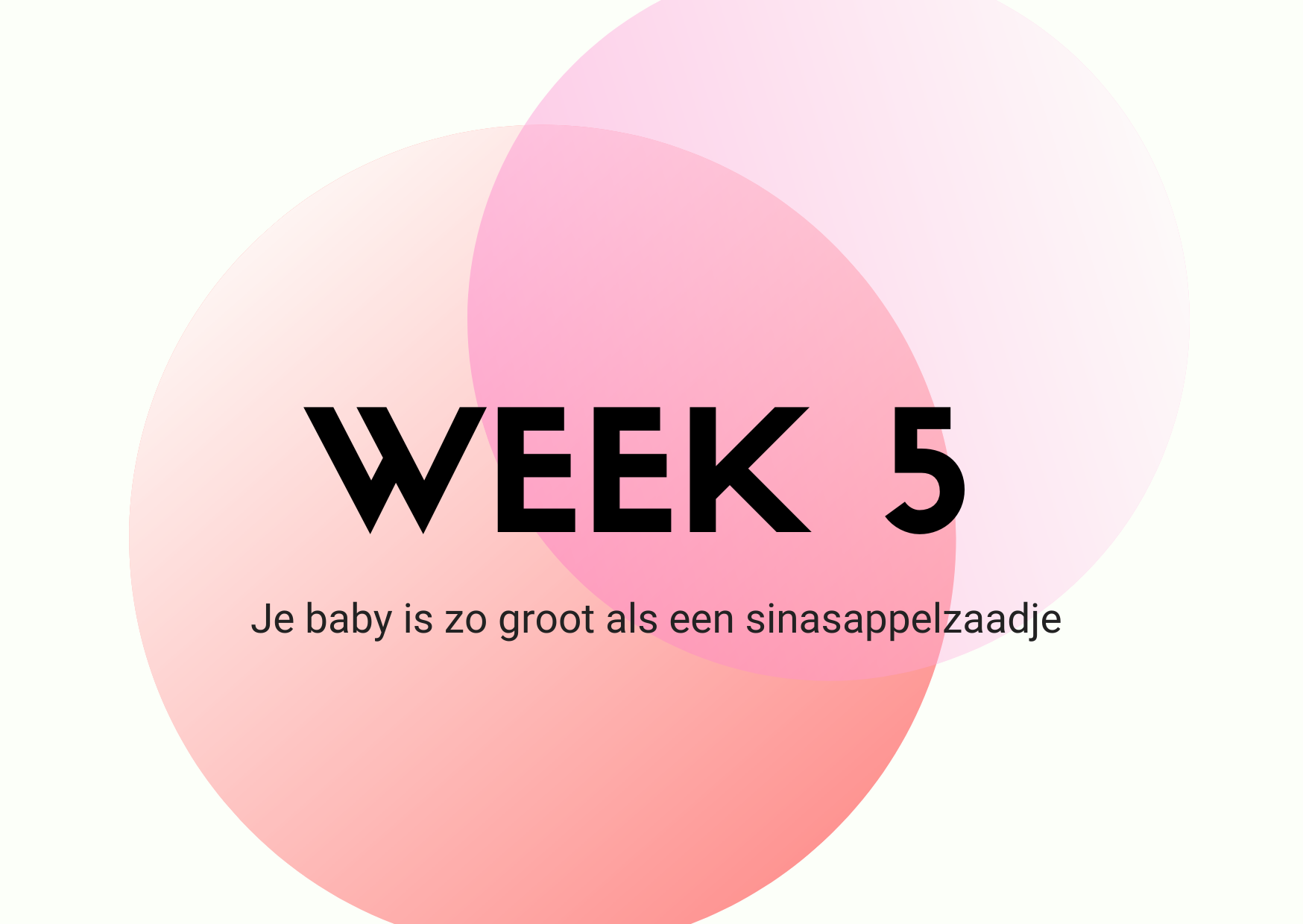 zwangerschap-week5