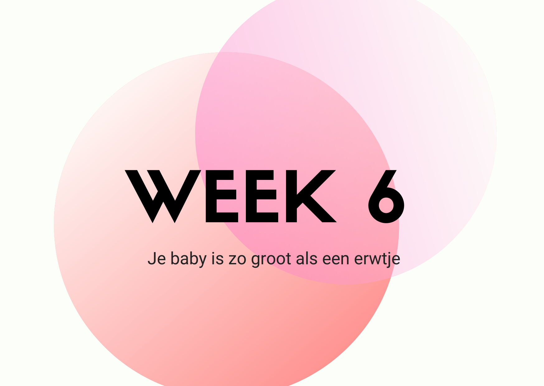 Zwangerschap week 6